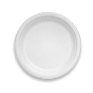 ECO SOURCE 10" COMPOSTABLE ROUND PLATE, 500/case
