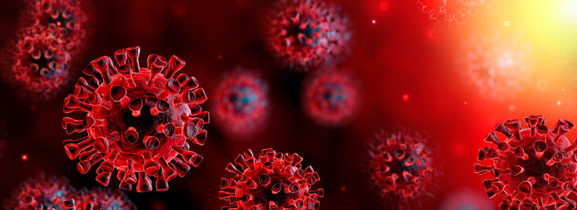What Is Coronavirus? | Covid-19 Disinfectants Guide 2020 | Fikes Services