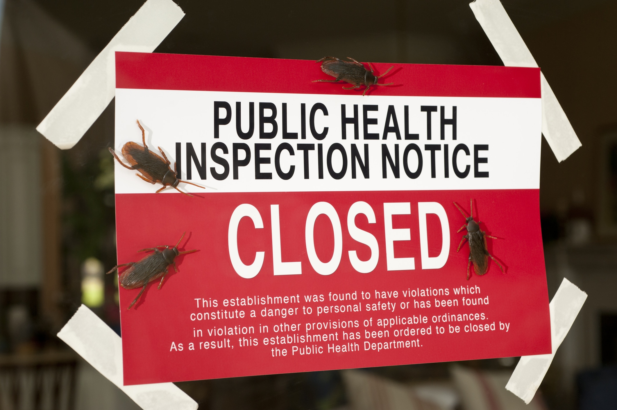 Top 3 Pests in Restaurants | Common Food Pests | Pest Control Solutions