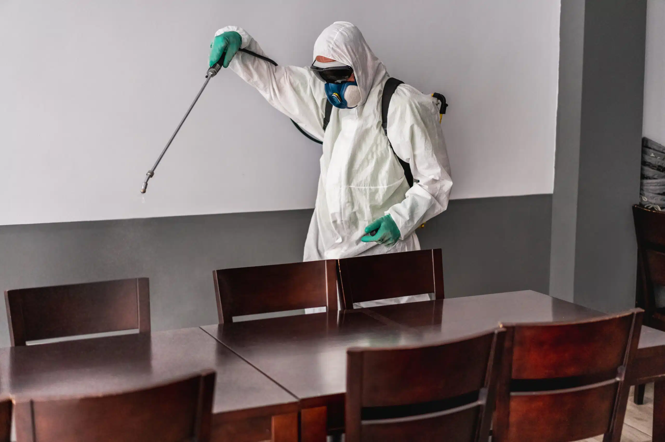 The "Zero-Tolerance" Strategy for Restaurant Pest Control A pest control worker spraying the inside of a restaurant