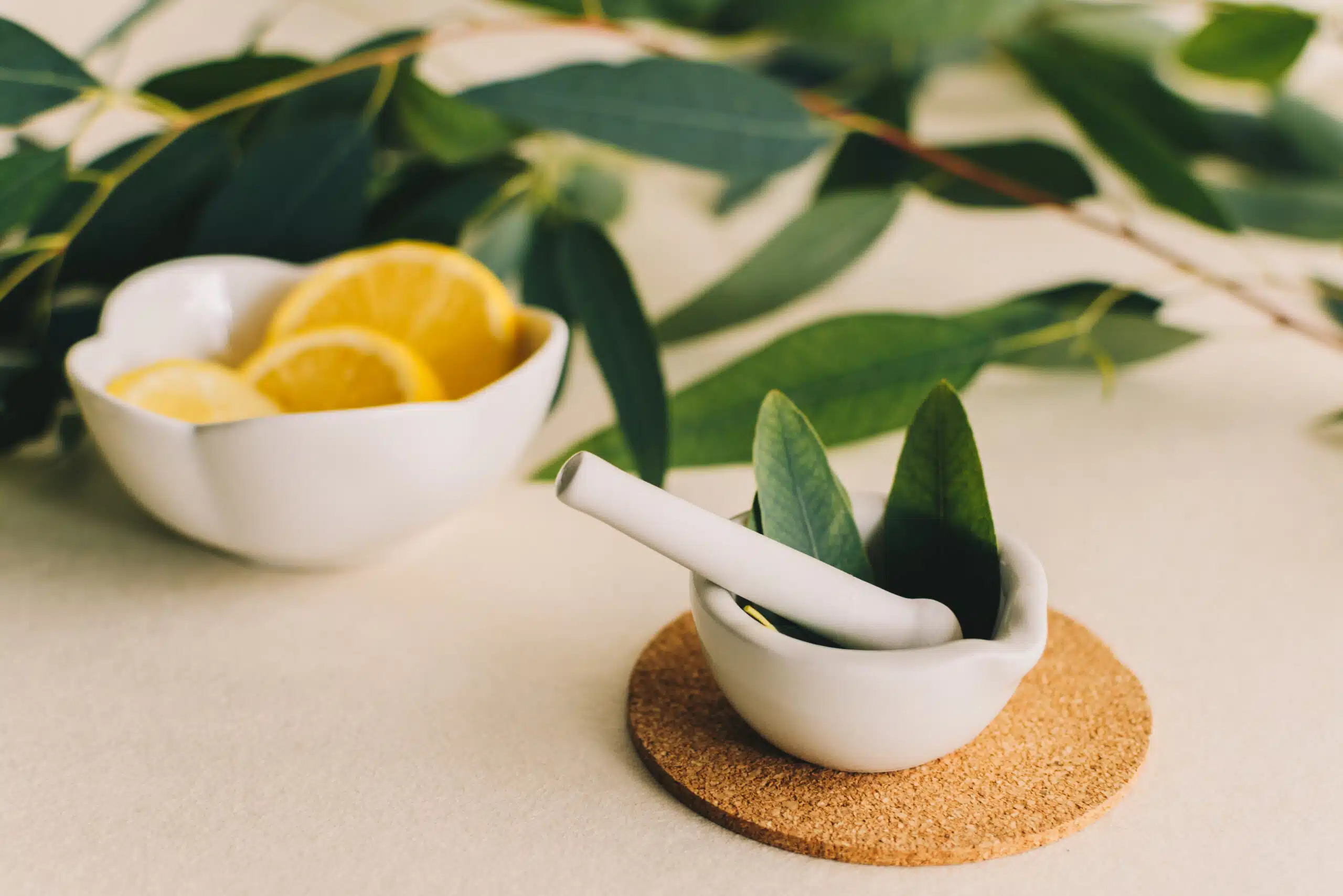 Scent Branding for Businesses: Creating Consistent Customer Experiences Across All Locations A lemon and eucalyptus leaves in a small white ceramic mortar - creative food concept