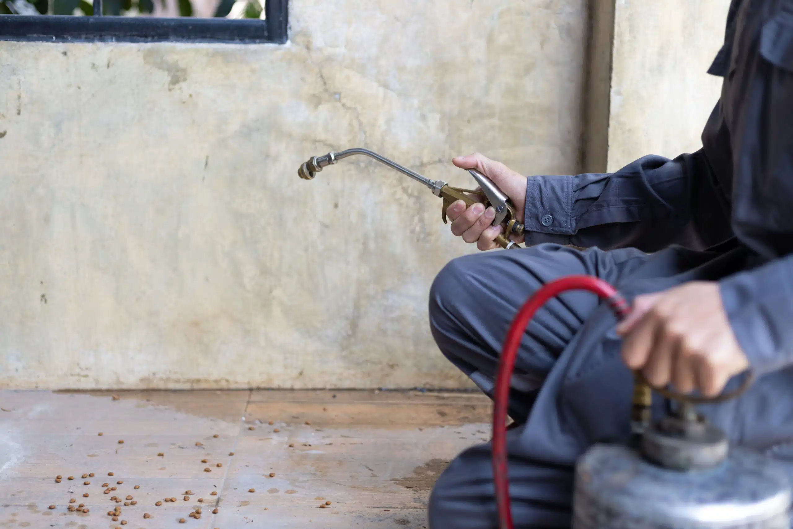 The Hidden Cost of Poor Sanitation: How Dirty Spaces Fuel Pest Infestations Professional exterminator in work wear spraying pesticide or insecticide with sprayer tank. | pest infestations