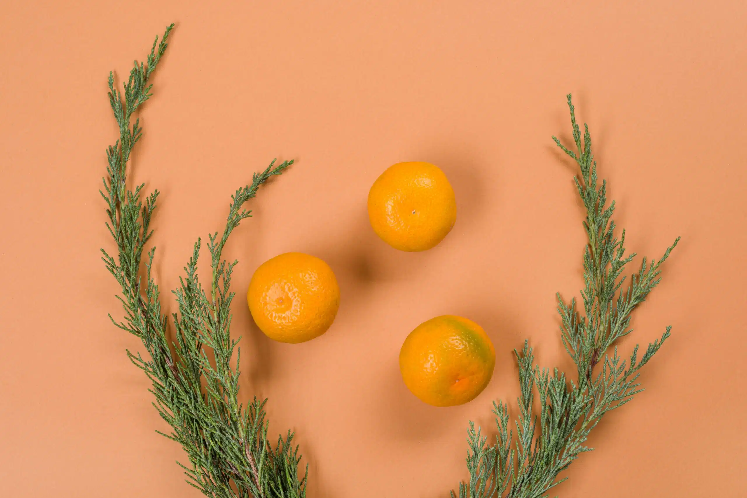 How Scenting Boosts Workplace Productivity & Employee Mood oranges and small branches laid out against a light orange background
