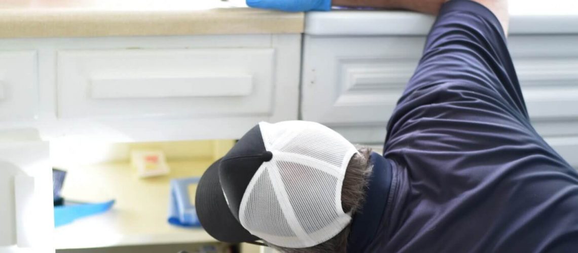 Exclusion Work, Pest control, Exclusion Pest Control