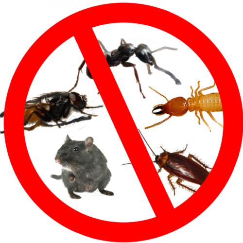 Orlando Pest Control