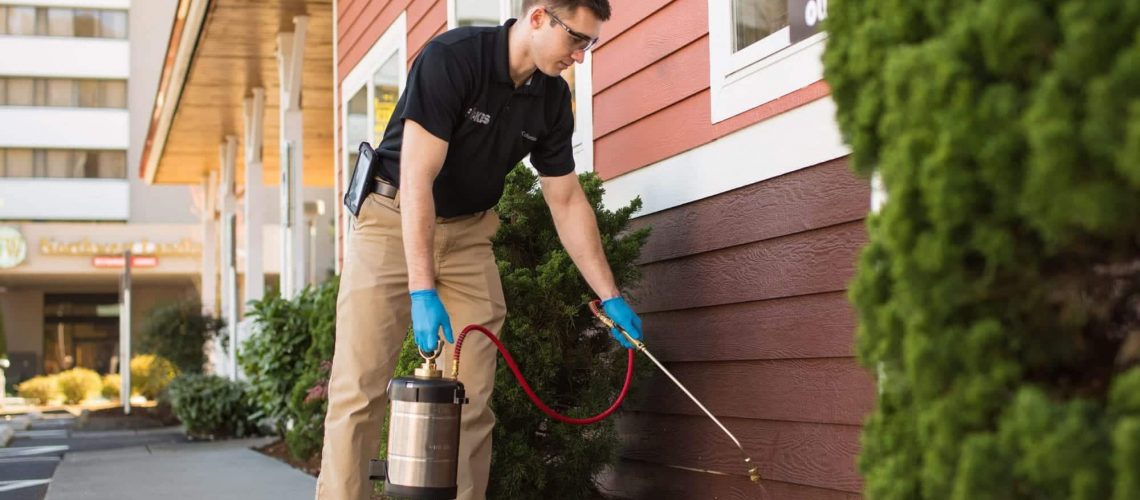 exclusion, pest control, exclusion pest control